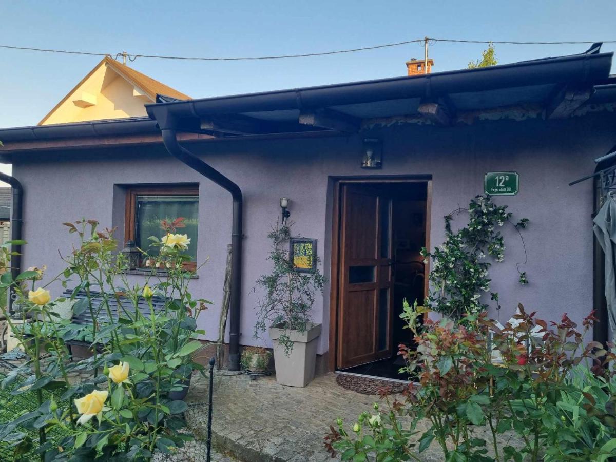 Art Room With Outdoor Living ليوبليانا المظهر الخارجي الصورة