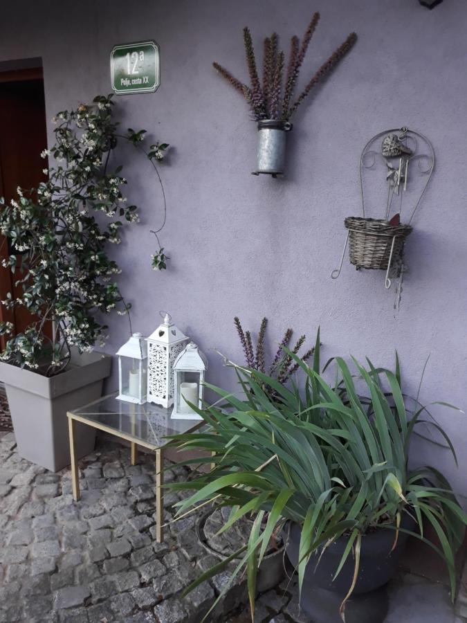 Art Room With Outdoor Living ليوبليانا المظهر الخارجي الصورة