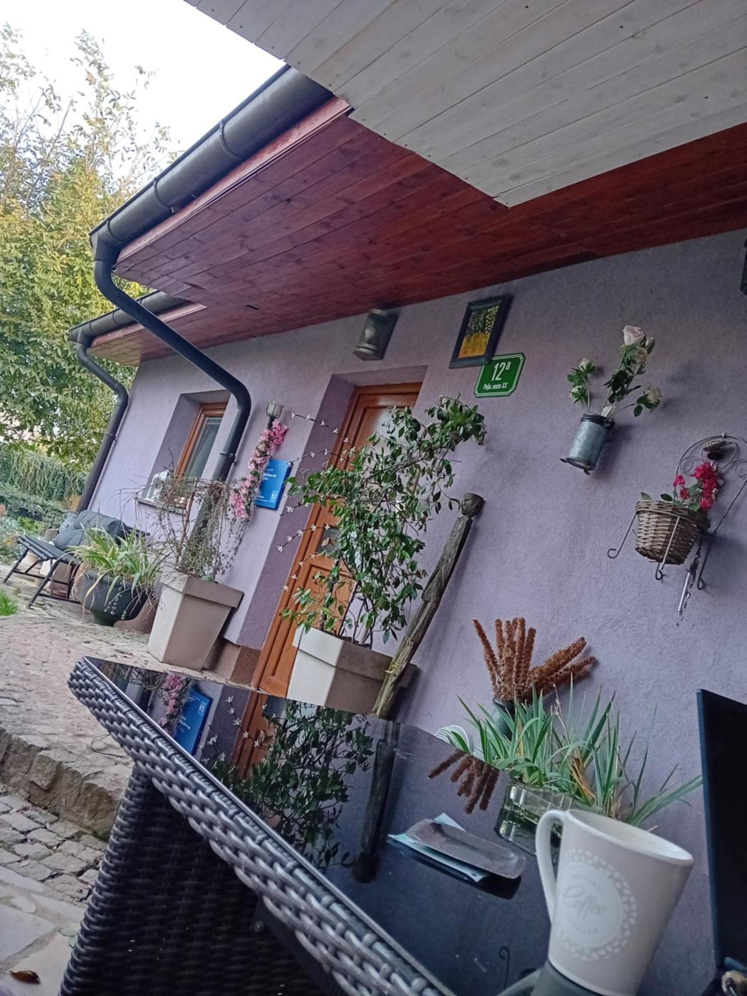 Art Room With Outdoor Living ليوبليانا المظهر الخارجي الصورة