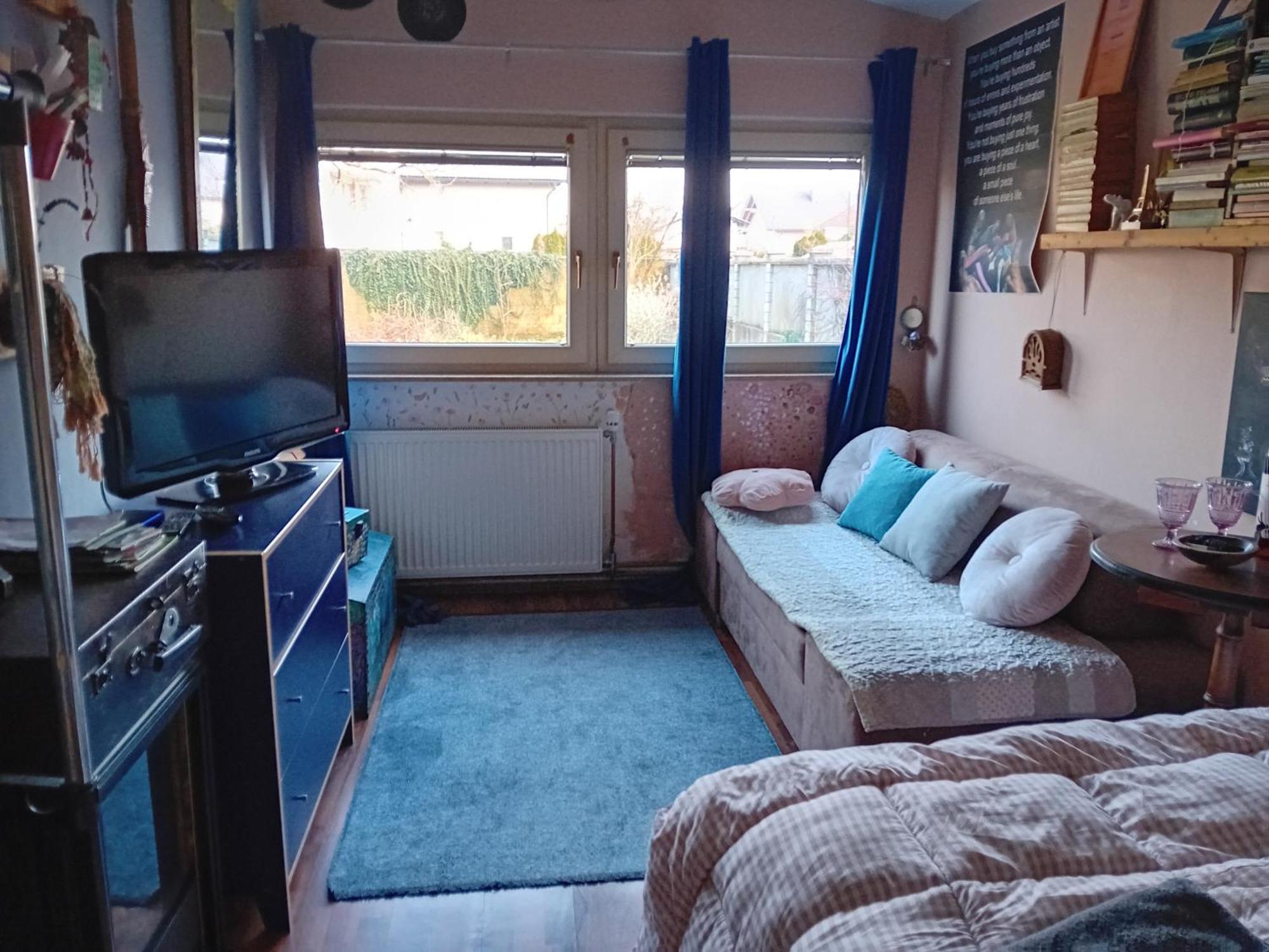 Art Room With Outdoor Living ليوبليانا المظهر الخارجي الصورة